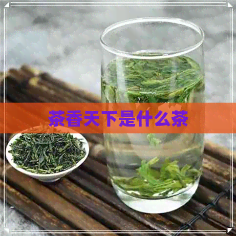 茶香天下是什么茶