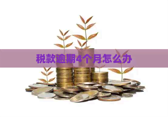 税款逾期4个月怎么办