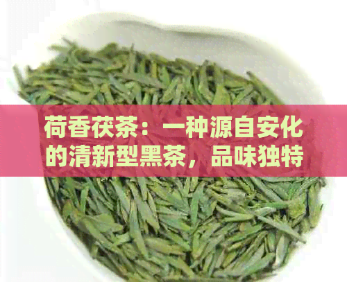 荷香茯茶：一种源自安化的清新型黑茶，品味独特的功效与作用