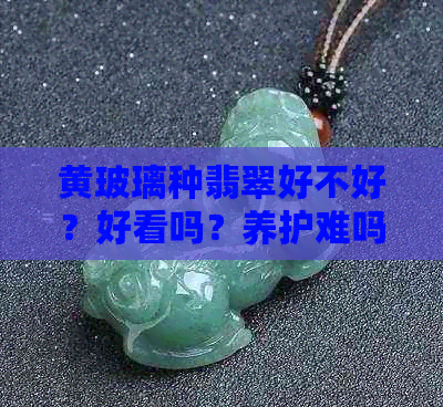 黄玻璃种翡翠好不好？好看吗？养护难吗？价格如何？