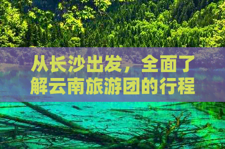 从长沙出发，全面了解云南旅游团的行程安排、费用、景点及注意事项