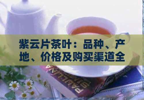 紫云片茶叶：品种、产地、价格及购买渠道全面解析