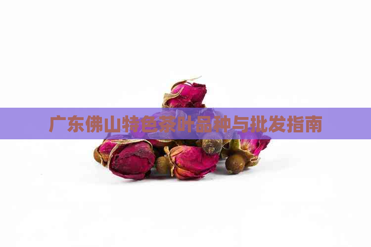 广东佛山特色茶叶品种与批发指南