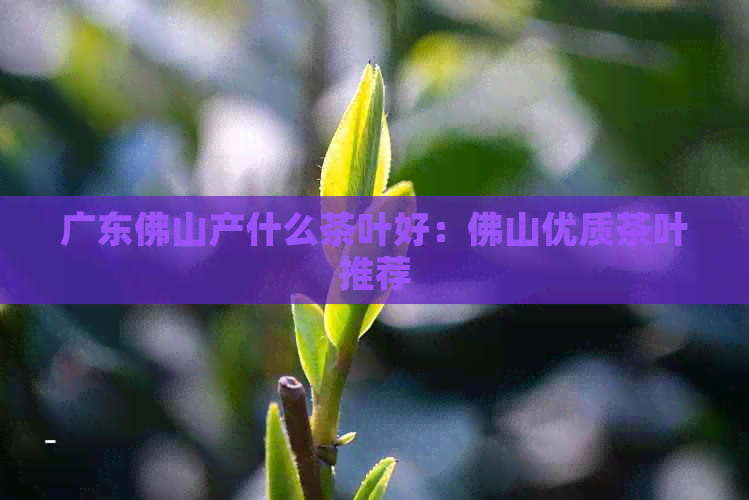 广东佛山产什么茶叶好：佛山优质茶叶推荐