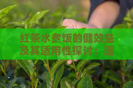 红茶水煮饭的健效益及其适用性探讨：医生的建议与茶叶选择