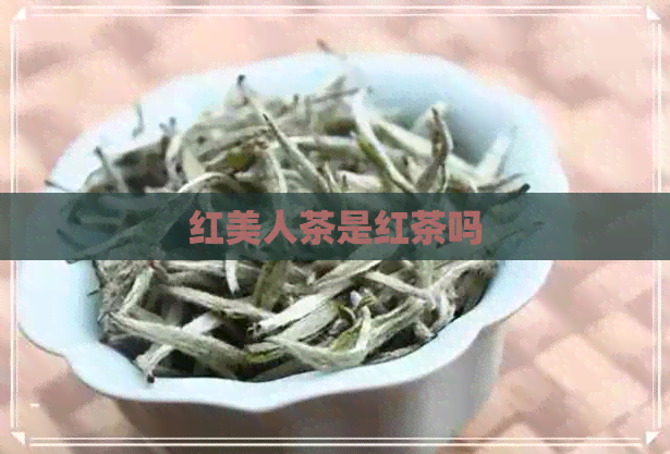 红美人茶是红茶吗