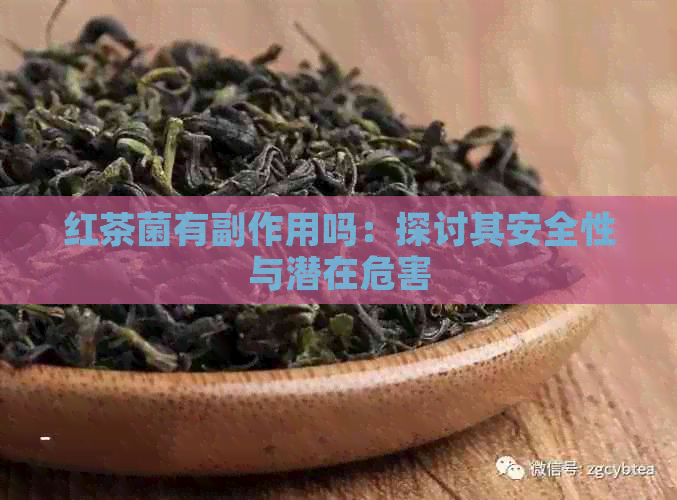 红茶菌有副作用吗：探讨其安全性与潜在危害