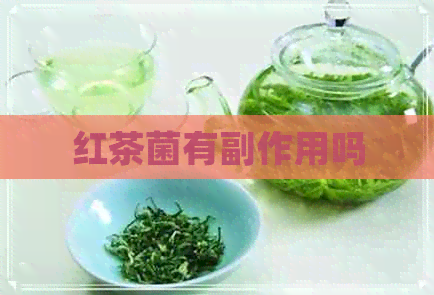 红茶菌有副作用吗