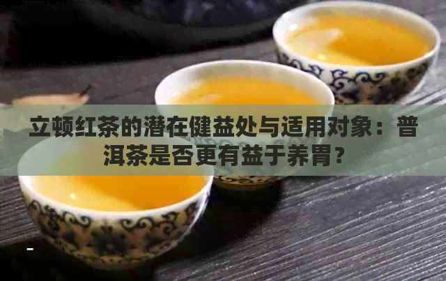 立顿红茶的潜在健益处与适用对象：普洱茶是否更有益于养胃？