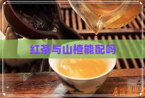 红茶与山楂能配吗