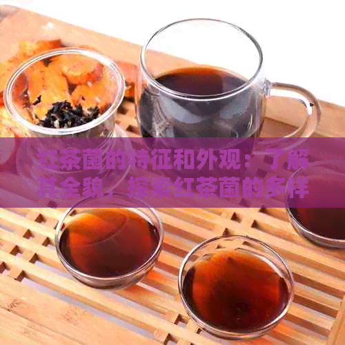 红茶菌的特征和外观：了解其全貌，探索红茶菌的多样性