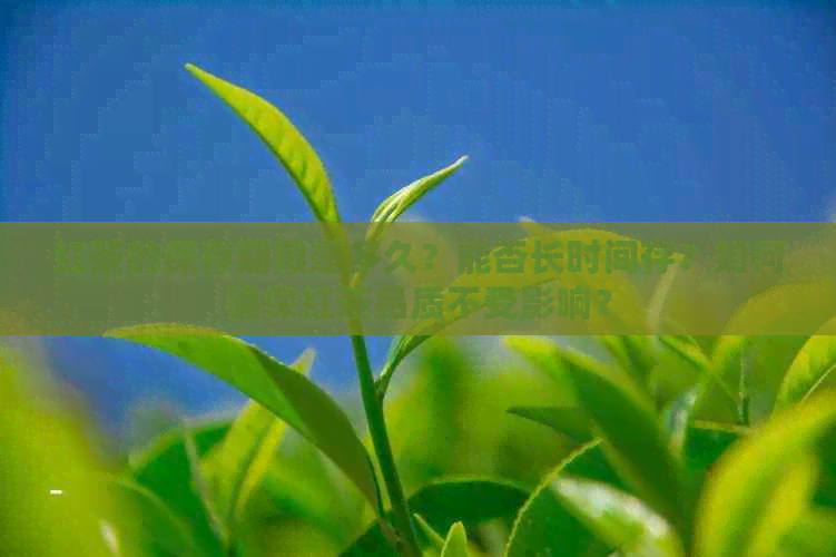 红茶的保存期限是多久？能否长时间存？如何确保红茶品质不受影响？