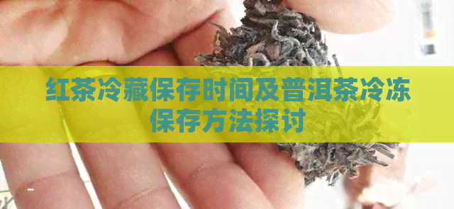 红茶冷藏保存时间及普洱茶冷冻保存方法探讨