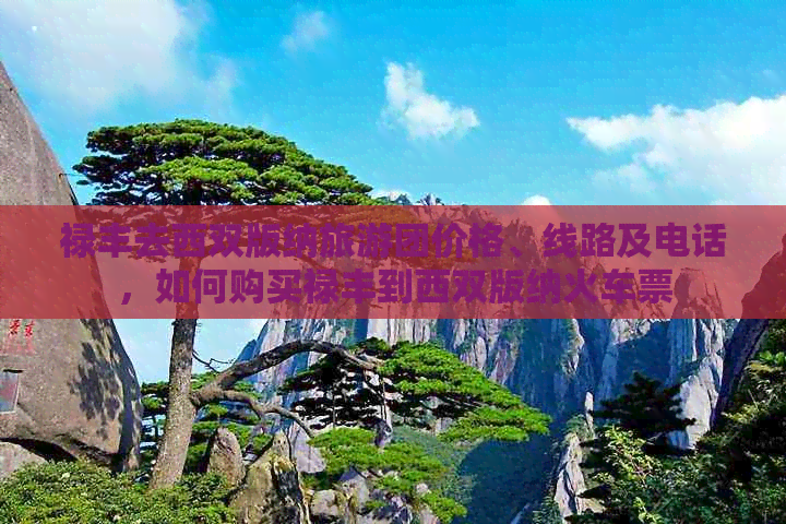 禄丰去西双版纳旅游团价格、线路及电话，如何购买禄丰到西双版纳火车票