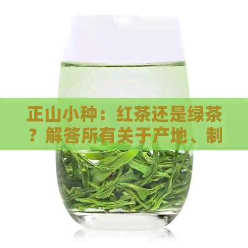 正山小种：红茶还是绿茶？解答所有关于产地、制作工艺和口感的问题