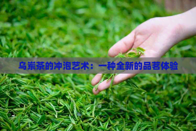 乌岽茶的冲泡艺术：一种全新的品茗体验