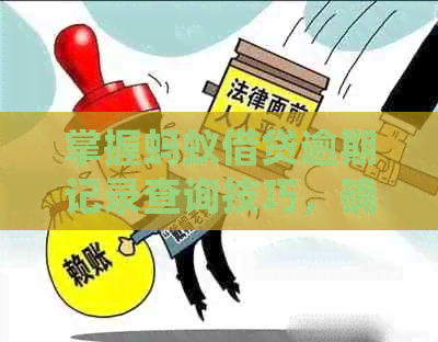 掌握蚂蚁借贷逾期记录查询技巧，确保支付宝资金安全无忧