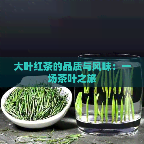 大叶红茶的品质与风味：一场茶叶之旅