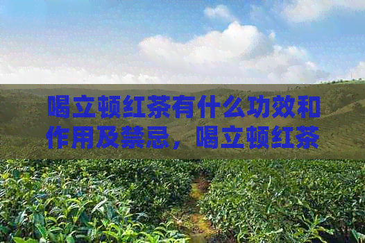 喝立顿红茶有什么功效和作用及禁忌，喝立顿红茶的好处是什么？