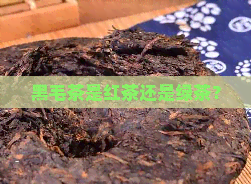 黑毛茶是红茶还是绿茶？