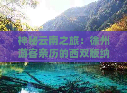 神秘云南之旅：徐州游客亲历的西双版纳奇幻冒险