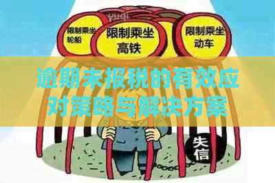 逾期未报税的有效应对策略与解决方案