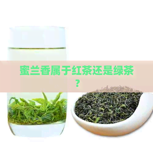 蜜兰香属于红茶还是绿茶？