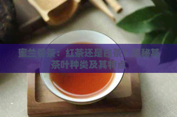 蜜兰香茶：红茶还是白茶？揭秘其茶叶种类及其特点