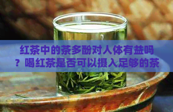 红茶中的茶多酚对人体有益吗？喝红茶是否可以摄入足够的茶多酚？