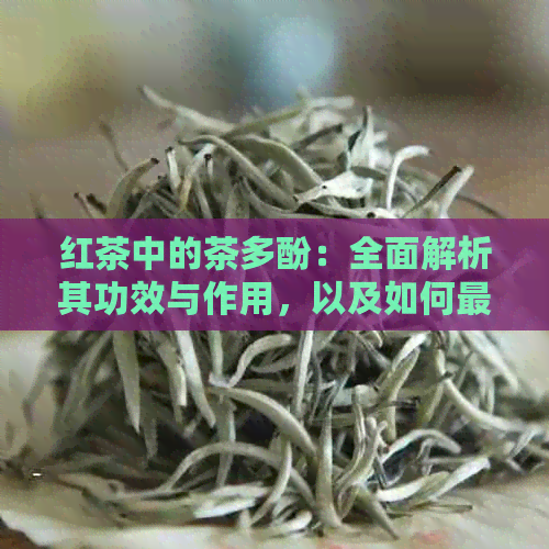 红茶中的茶多酚：全面解析其功效与作用，以及如何更大限度利用这些成分