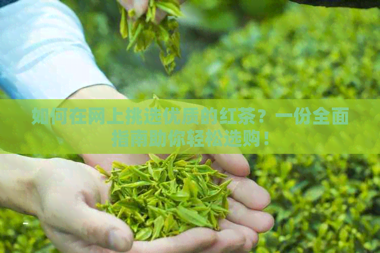 如何在网上挑选优质的红茶？一份全面指南助你轻松选购！