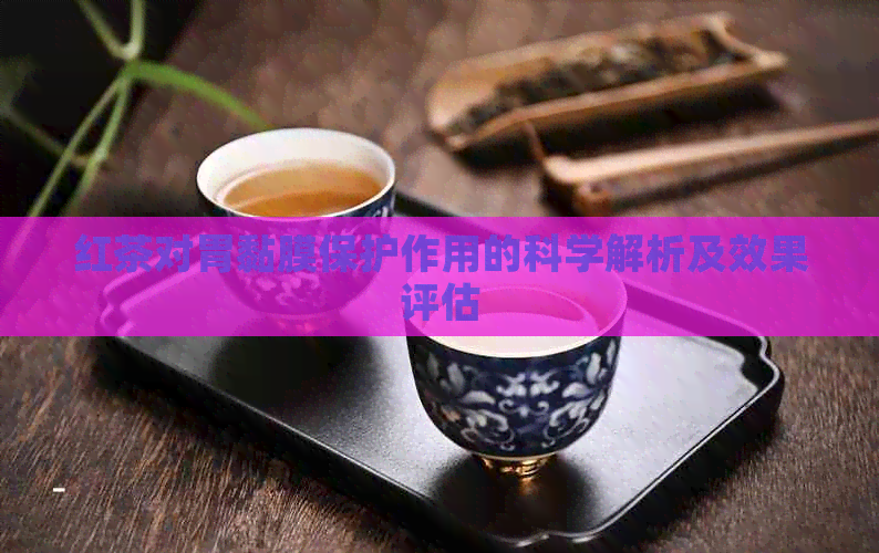 红茶对胃黏膜保护作用的科学解析及效果评估