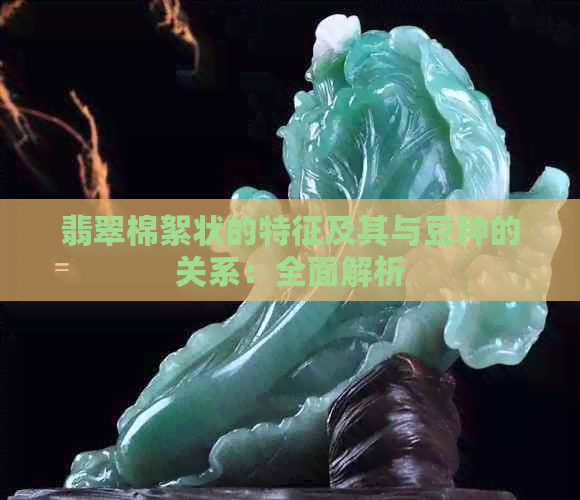 翡翠棉絮状的特征及其与豆种的关系：全面解析