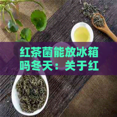 红茶菌能放冰箱吗冬天：关于红茶菌在冬天能否放入冰箱保存的问题。