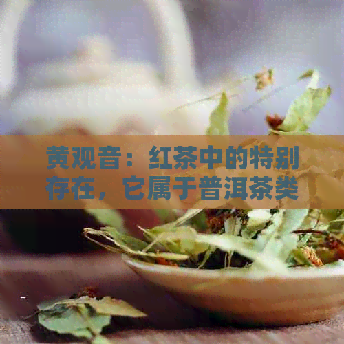 黄观音：红茶中的特别存在，它属于普洱茶类别吗？