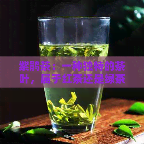 紫鹃茶：一种独特的茶叶，属于红茶还是绿茶？普洱茶与紫娟植物的奥秘解析