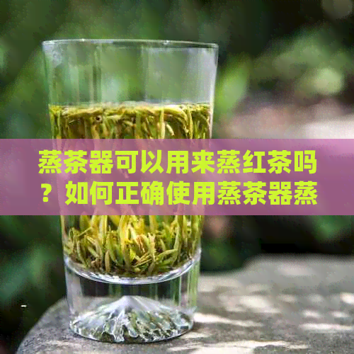 蒸茶器可以用来蒸红茶吗？如何正确使用蒸茶器蒸红茶？