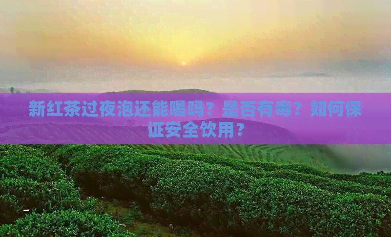 新红茶过夜泡还能喝吗？是否有？如何保证安全饮用？