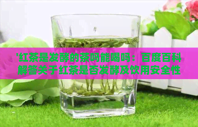 '红茶是发酵的茶吗能喝吗：百度百科解答关于红茶是否发酵及饮用安全性问题'