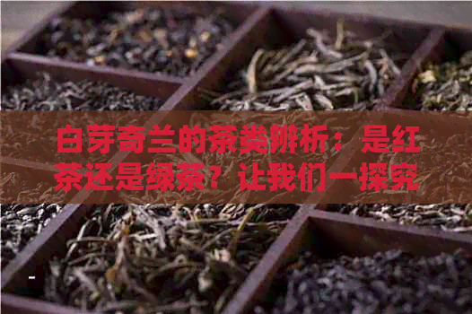 白芽奇兰的茶类辨析：是红茶还是绿茶？让我们一探究竟