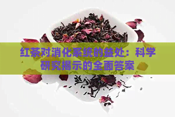 红茶对消化系统的益处：科学研究揭示的全面答案