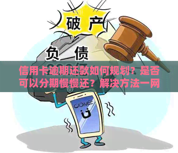 信用卡逾期还款如何规划？是否可以分期慢慢还？解决方法一网打尽！