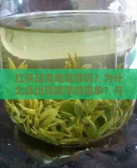 红茶是渥堆发酵吗？为什么会出现变黑的现象？与黑茶的渥堆发酵有何区别？