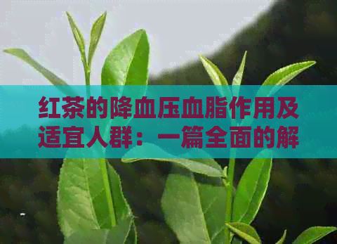 红茶的降血压血脂作用及适宜人群：一篇全面的解析