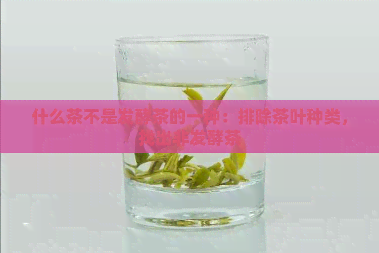 什么茶不是发酵茶的一种：排除茶叶种类，找出非发酵茶