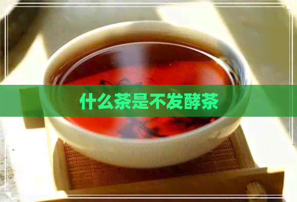 什么茶是不发酵茶