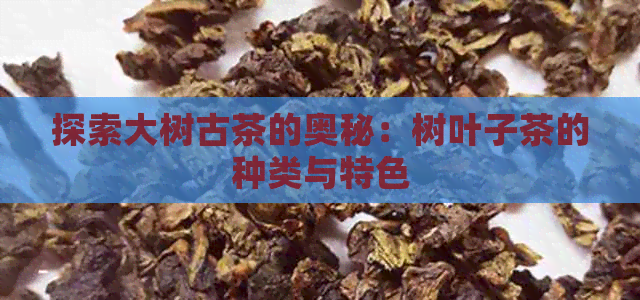 探索大树古茶的奥秘：树叶子茶的种类与特色