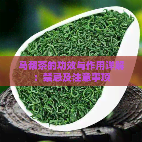 马帮茶的功效与作用详解：禁忌及注意事项