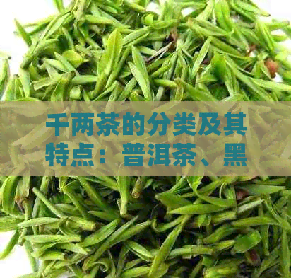 千两茶的分类及其特点：普洱茶、黑茶与乌龙茶的异同