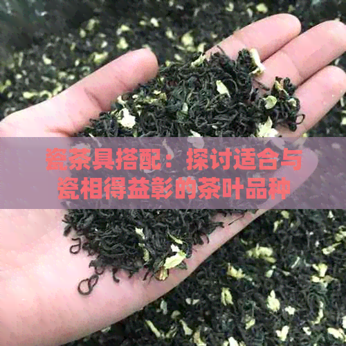 瓷茶具搭配：探讨适合与瓷相得益彰的茶叶品种